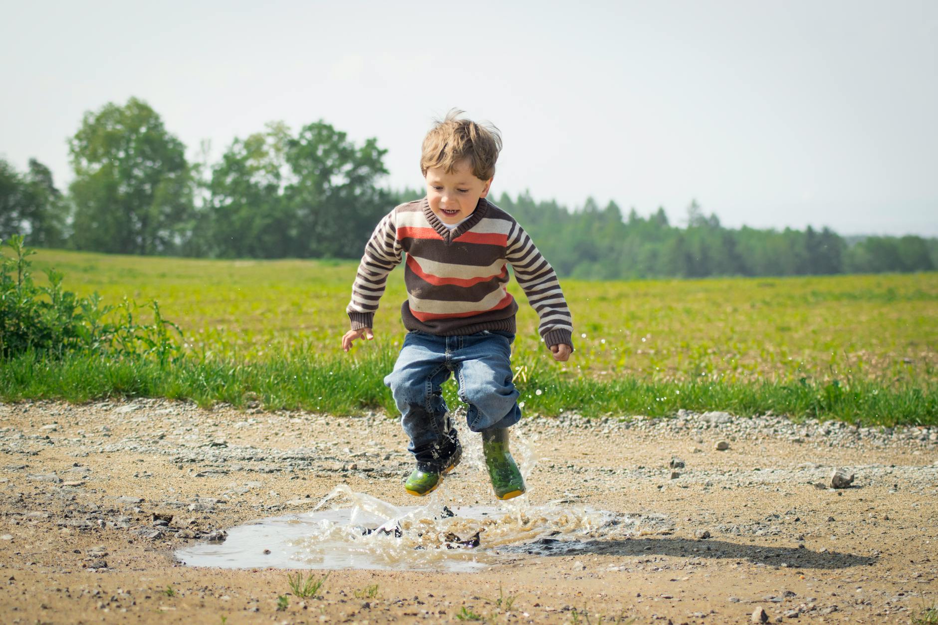 Stop teaching children to read too early